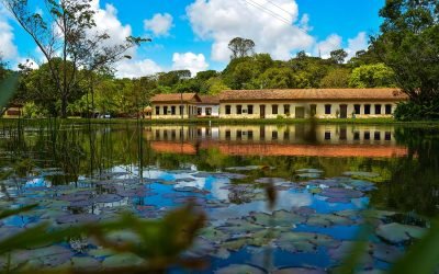 JardimBotanico2016_RafaelPassos-39