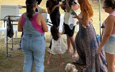 Prefeitura promove evento de incentivo à adoção de cães e gatos e oferta serviços no bairro do Aeroclube